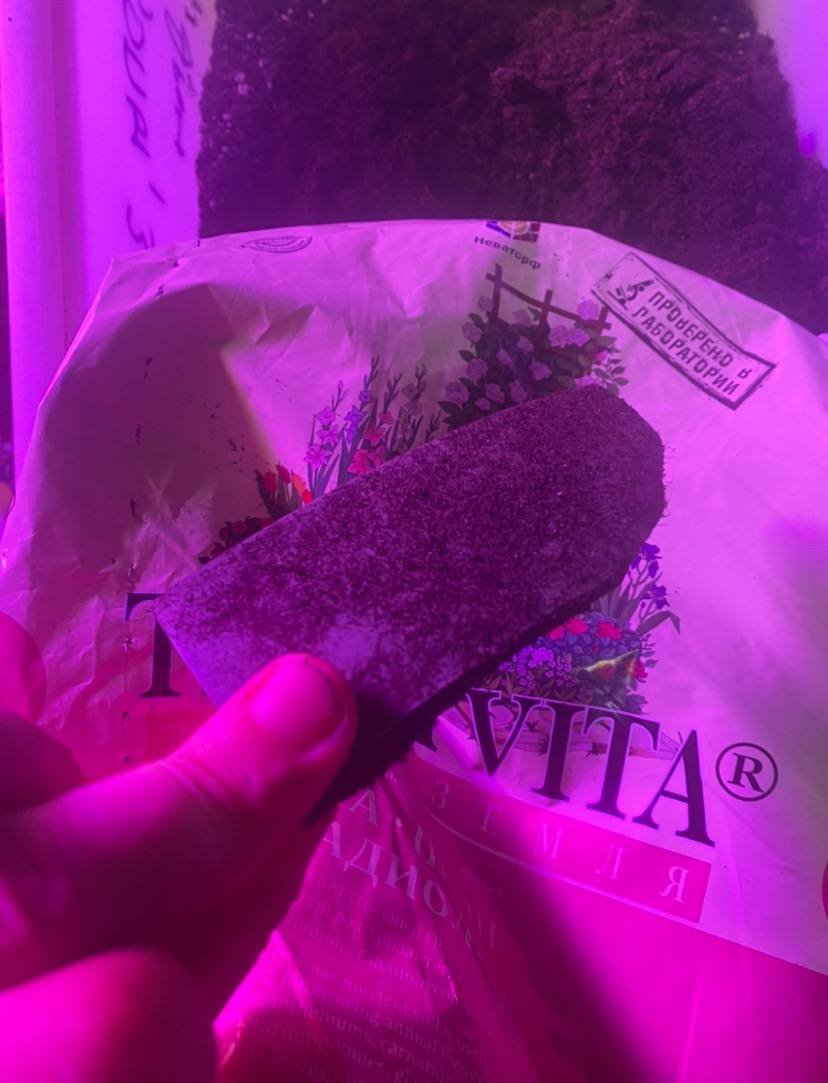 photo_2022-09-01_15-15-38.jpg photo_2022-09-01_15-15-38.jpg