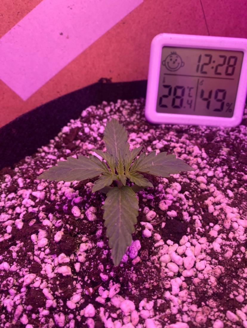 photo_2022-09-01_15-15-39.jpg photo_2022-09-01_15-15-39.jpg