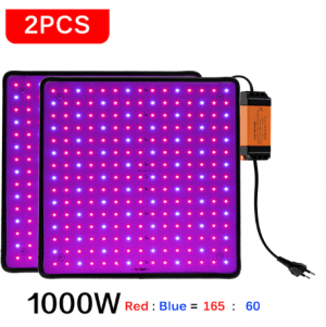 Снимок экрана 2022-09-01 162909.png Снимок экрана 2022-09-01 162909.png