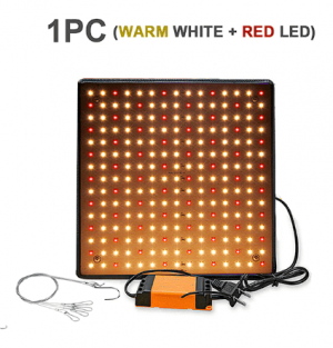 Снимок экрана 2022-09-01 162732.png Снимок экрана 2022-09-01 162732.png