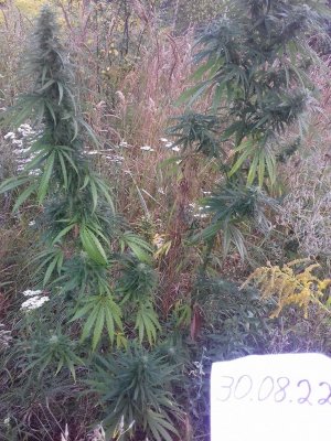 20150104_135510.jpg 20150104_135510.jpg