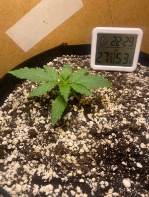 3FC49047-87C4-40C8-AC2E-67B3E28FA3D0.jpeg 3FC49047-87C4-40C8-AC2E-67B3E28FA3D0.jpeg