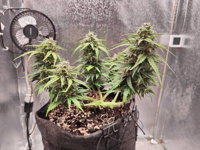 IMG20220905151050.jpg IMG20220905151050.jpg