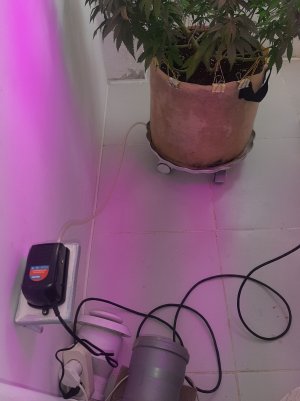 20220906_133448.jpg 20220906_133448.jpg