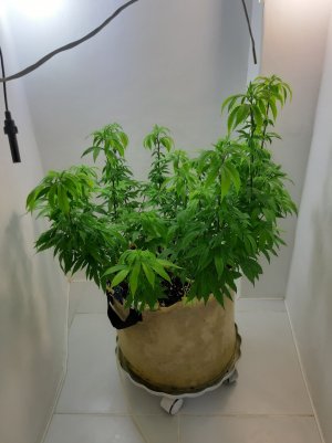 20220906_153624.jpg 20220906_153624.jpg