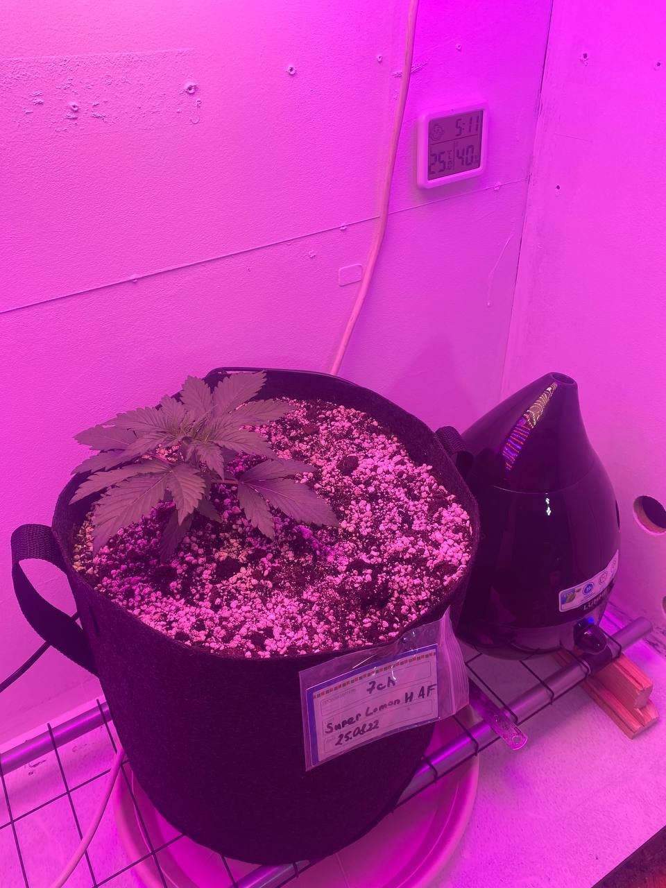 photo_2022-09-07_05-14-40.jpg photo_2022-09-07_05-14-40.jpg