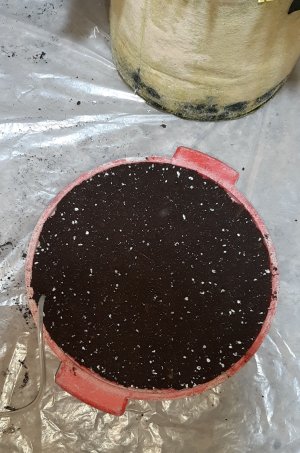 20220907_095012.jpg 20220907_095012.jpg