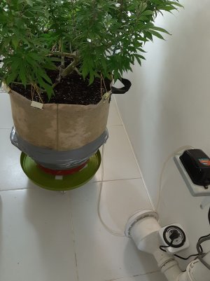 20220907_095055.jpg 20220907_095055.jpg