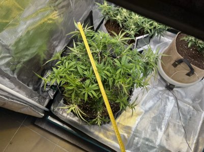 D5639801-0BD4-49EF-BB9A-6B2DE79BC610.jpeg D5639801-0BD4-49EF-BB9A-6B2DE79BC610.jpeg