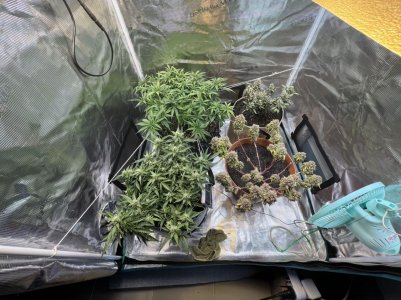 F8A934AE-B65A-4306-A7D2-6CE598F430DB.jpeg F8A934AE-B65A-4306-A7D2-6CE598F430DB.jpeg