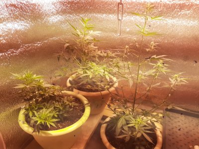 20220916_070525.jpg 20220916_070525.jpg