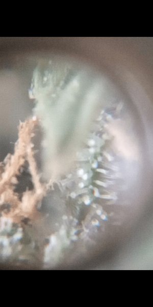 Screenshot_20220919-211817.png Screenshot_20220919-211817.png