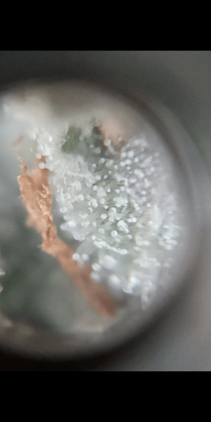 Screenshot_20220919-211803.png Screenshot_20220919-211803.png