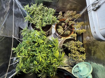 88304CB2-1758-47B4-B6BE-F960D6F169AD.jpeg 88304CB2-1758-47B4-B6BE-F960D6F169AD.jpeg