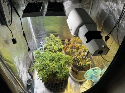 D7D5B383-4C1E-49CA-8DD9-502347B9E8BF.jpeg D7D5B383-4C1E-49CA-8DD9-502347B9E8BF.jpeg