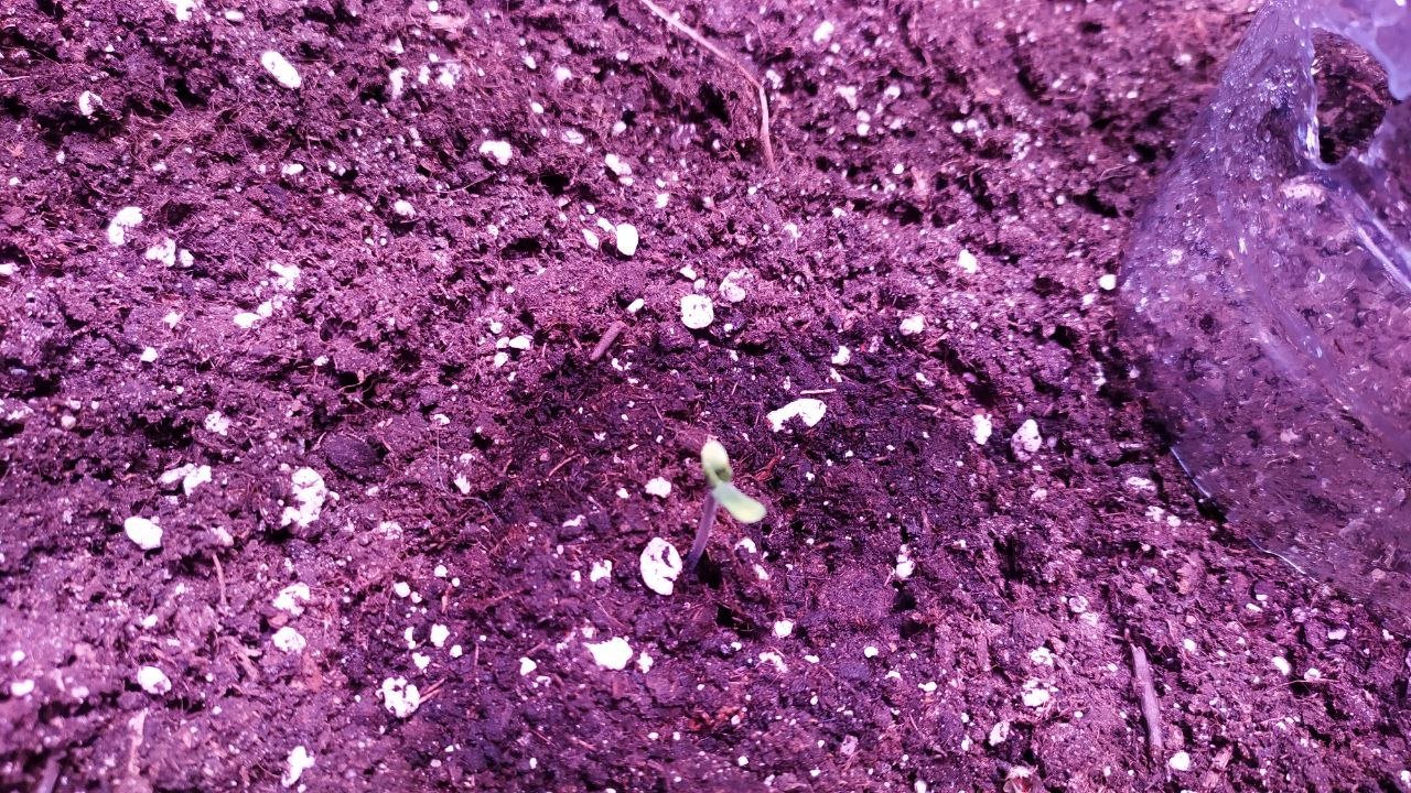 photo_2022-09-22_10-31-59 (2).jpg photo_2022-09-22_10-31-59 (2).jpg