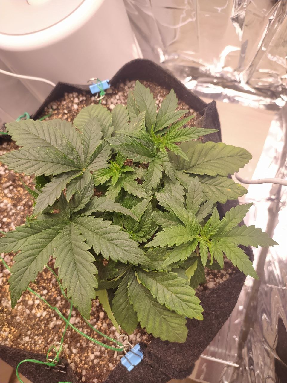 ob — копия.jpg