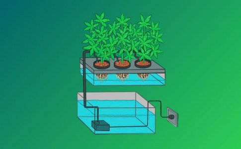 Плюсы использования ирригационной системы Плюсы использования ирригационной системы