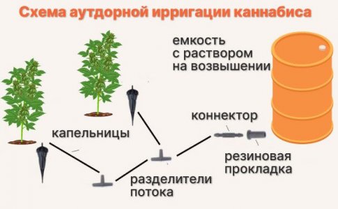 Можно ли использовать ирригационную систему для выращивания в аутдоре? Можно ли использовать ирригационную систему для выращивания в аутдоре?