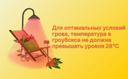 Высокая температура Высокая температура