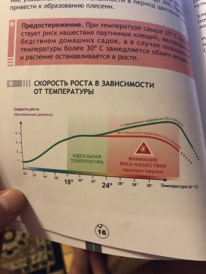 819C14C4-A9D3-4F41-8CED-3C288EEBE76F.jpeg 819C14C4-A9D3-4F41-8CED-3C288EEBE76F.jpeg