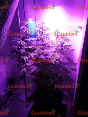 882-wm-42628.19999998808_watermarked.jpg 882-wm-42628.19999998808_watermarked.jpg