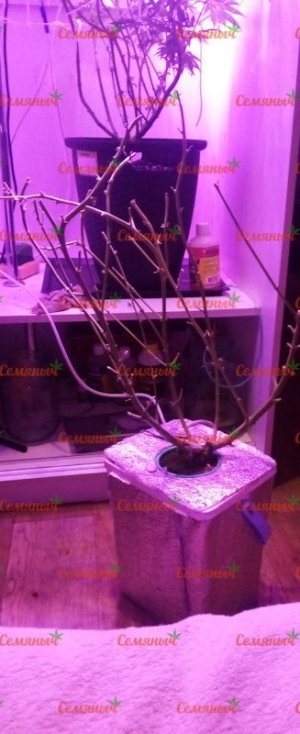 886-wm-34528.40000000596_watermarked.jpg 886-wm-34528.40000000596_watermarked.jpg