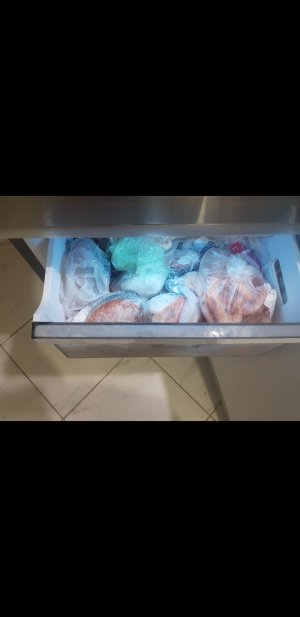 Screenshot_20221013-232057_Gallery.jpg Screenshot_20221013-232057_Gallery.jpg