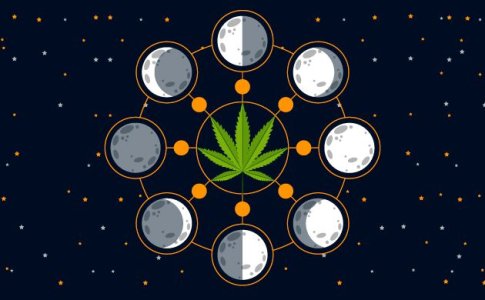 лунный календарь для конопли лунный календарь для конопли