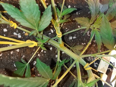 20221016_103553.jpg 20221016_103553.jpg