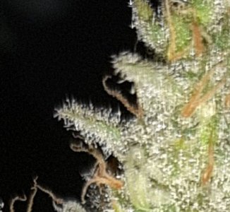 20221020_211542.jpg 20221020_211542.jpg