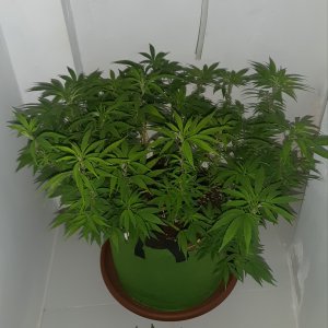 20221025_211246.jpg 20221025_211246.jpg