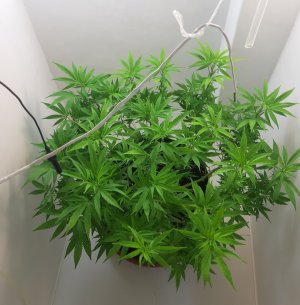 20221025_211402.jpg 20221025_211402.jpg