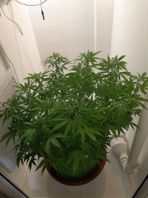 20221026_083726.jpg 20221026_083726.jpg