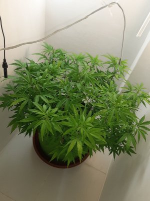 20221026_084007.jpg 20221026_084007.jpg