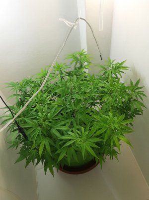 20221026_083955.jpg 20221026_083955.jpg