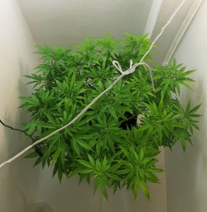 20221026_083824.jpg 20221026_083824.jpg