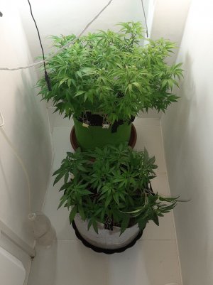 20221026_084148.jpg 20221026_084148.jpg