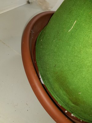 20221026_090824.jpg 20221026_090824.jpg