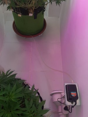 20221026_090854.jpg 20221026_090854.jpg