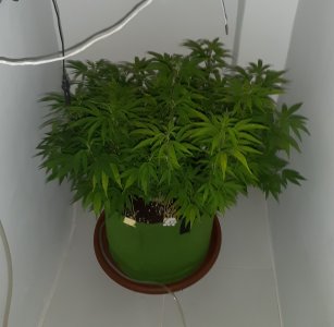 20221026_114559.jpg 20221026_114559.jpg