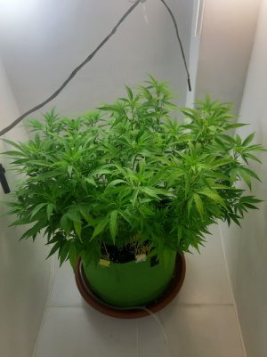 20221026_121611.jpg 20221026_121611.jpg