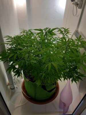 20221026_122235.jpg 20221026_122235.jpg