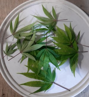 20221026_122220.jpg 20221026_122220.jpg