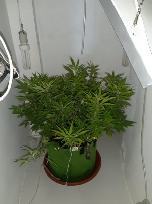 20221027_090241.jpg 20221027_090241.jpg