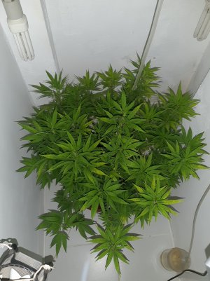 20221027_101636.jpg 20221027_101636.jpg