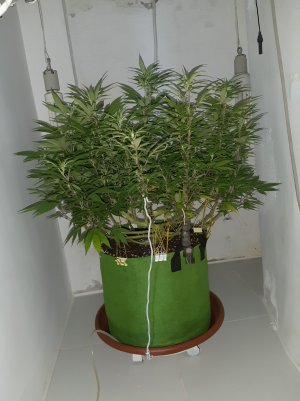 20221027_110337.jpg 20221027_110337.jpg