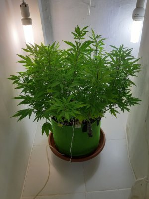 20221028_090115.jpg 20221028_090115.jpg