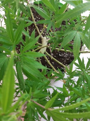 20221028_090606.jpg 20221028_090606.jpg