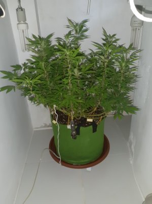 20221028_091205.jpg 20221028_091205.jpg